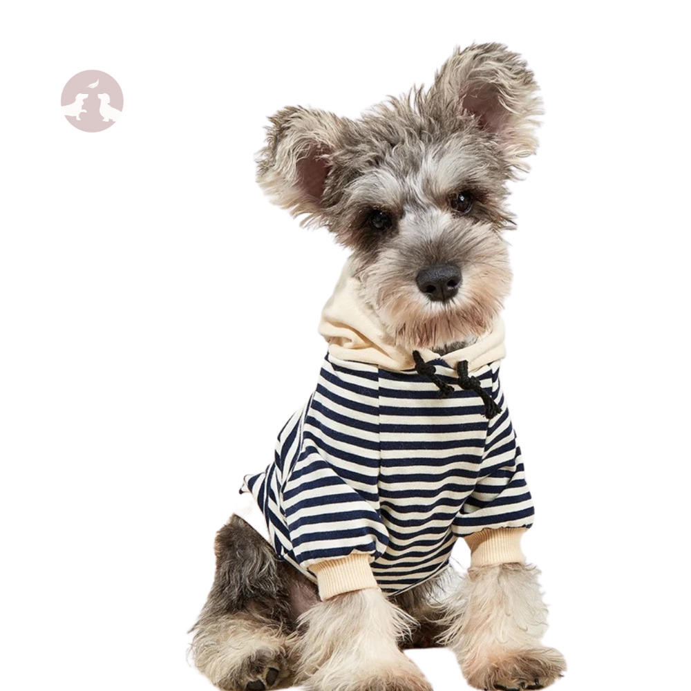 Cozy Striped Hoodie for Small Dogs: Super Cute and Comfy! 🐶❤️